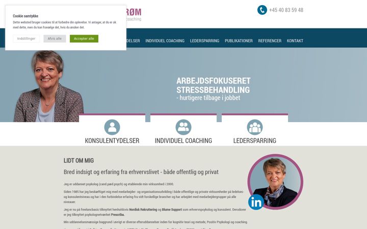 Screenshot of hanneblomstrom.dk