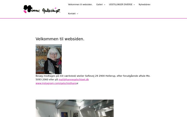 Screenshot of hannegalschioet.dk