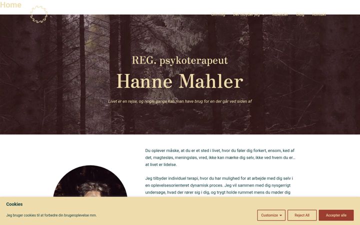 Screenshot of hannemahler.nu