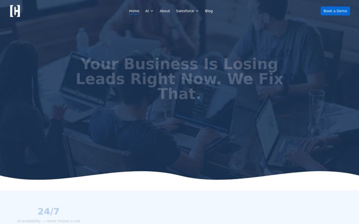 Screenshot of hanovconsulting.com