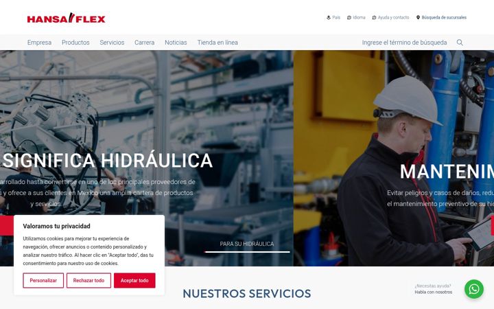 Screenshot of hansa-flex.mx