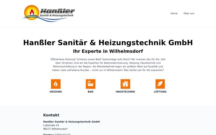 Screenshot of hanssler.de