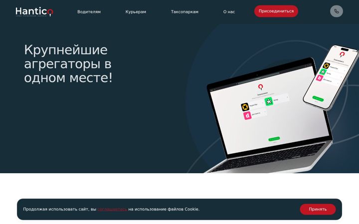 Screenshot of hantico.ru