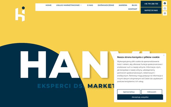 Screenshot of hanvi.pl