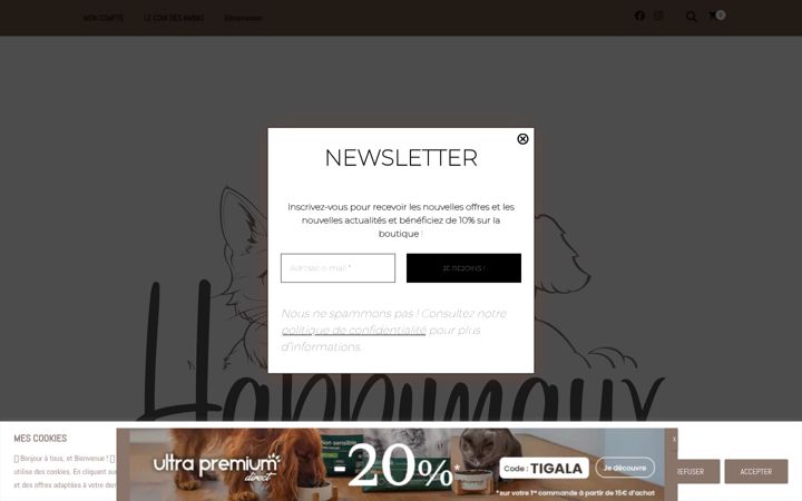 Screenshot of happimaux.fr