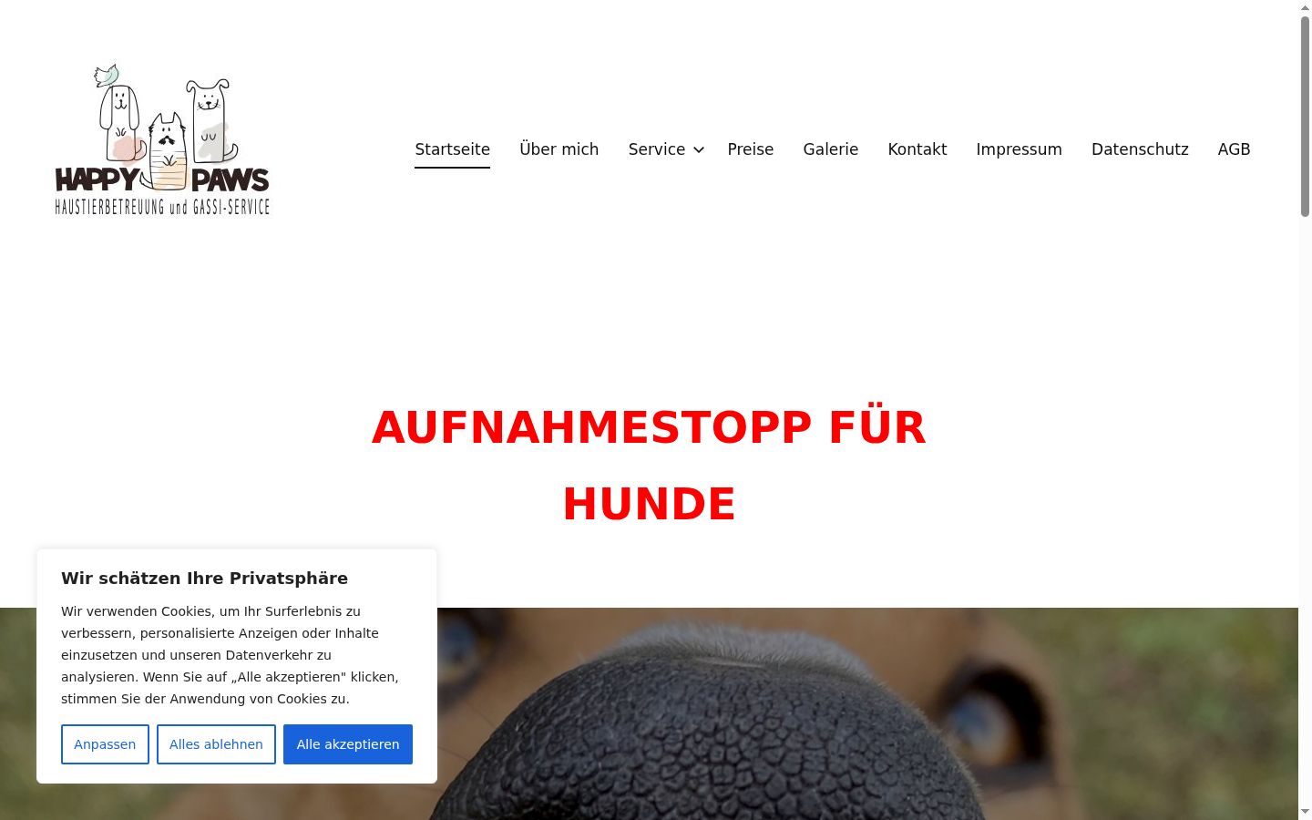 Sutikimo reklamjuostės, rodytos prieš bet kokią sąveiką, ekrano kopija