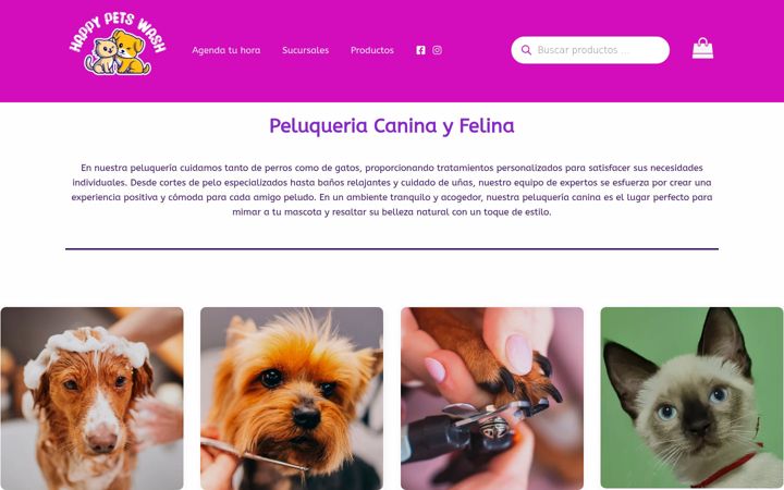 Screenshot of happypetchile.cl