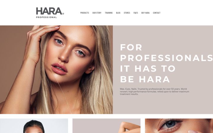 Screenshot of haraprofessional.com