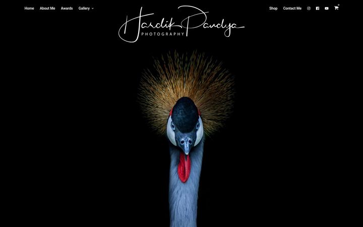 Screenshot of hardikpandyaphotography.com