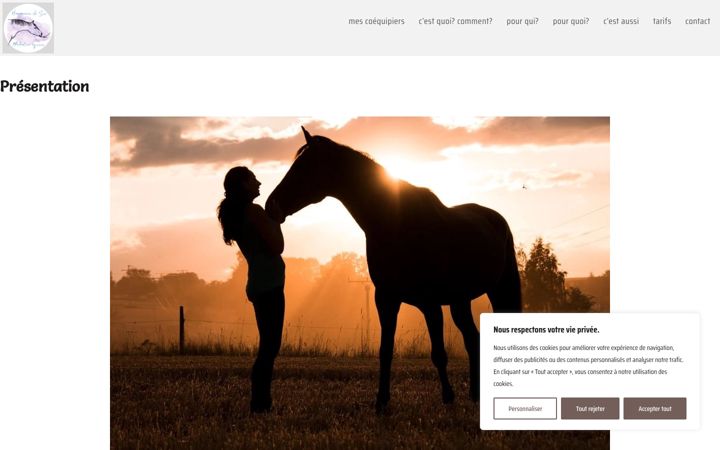 Screenshot of harmoniedesoimediationequine.fr