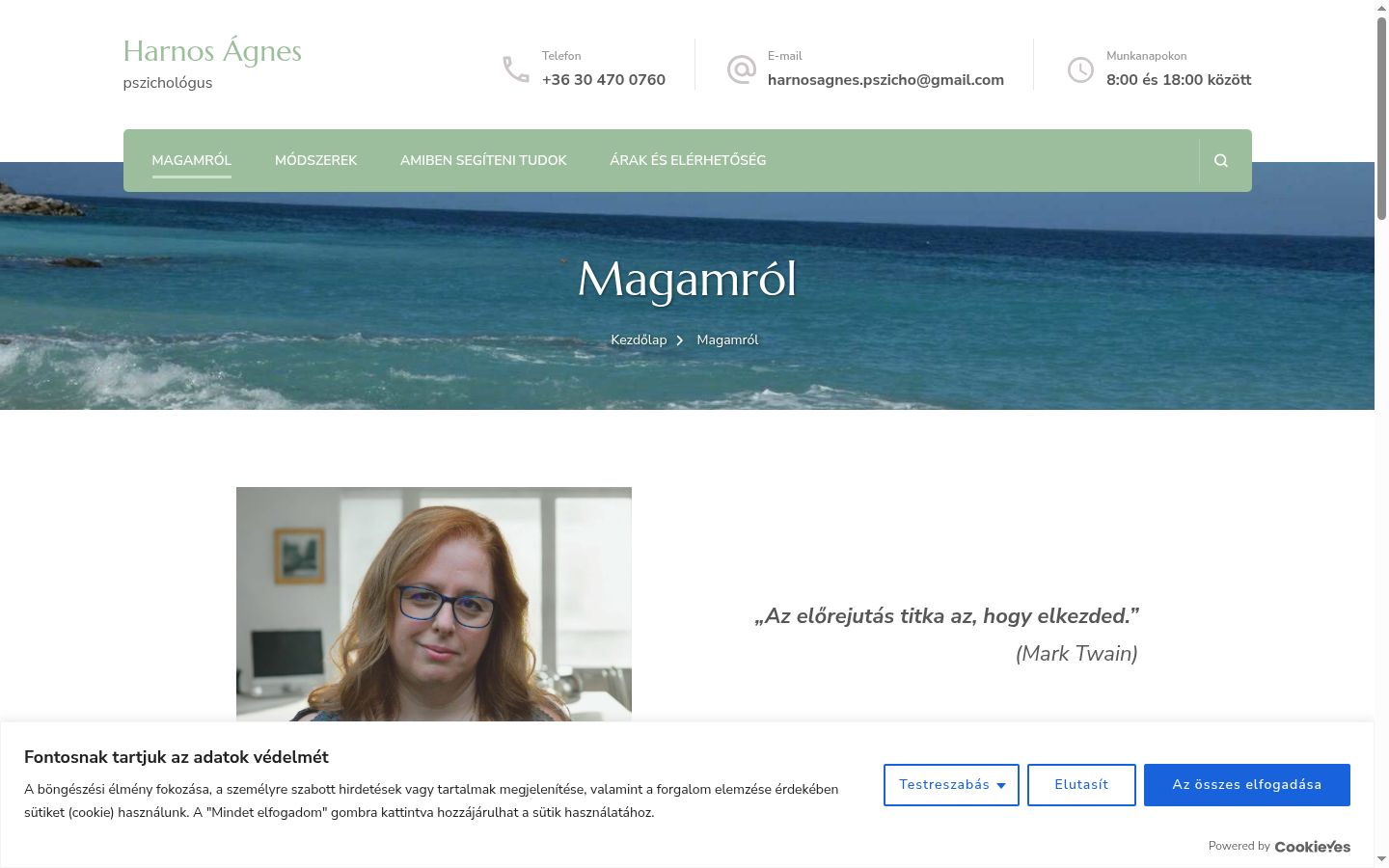 Ekrānuzņēmums ar piekrišanas baneri, kas tika rādīts pirms jebkādas mijiedarbības