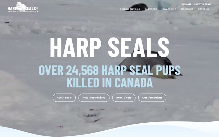 Screenshot of harpseals.org
