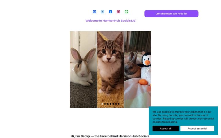 Screenshot of harrisonhubsocials.com