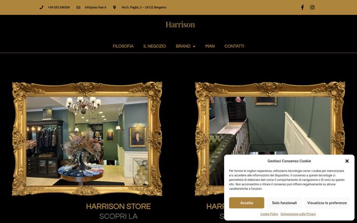 Screenshot of harrisonstore.it