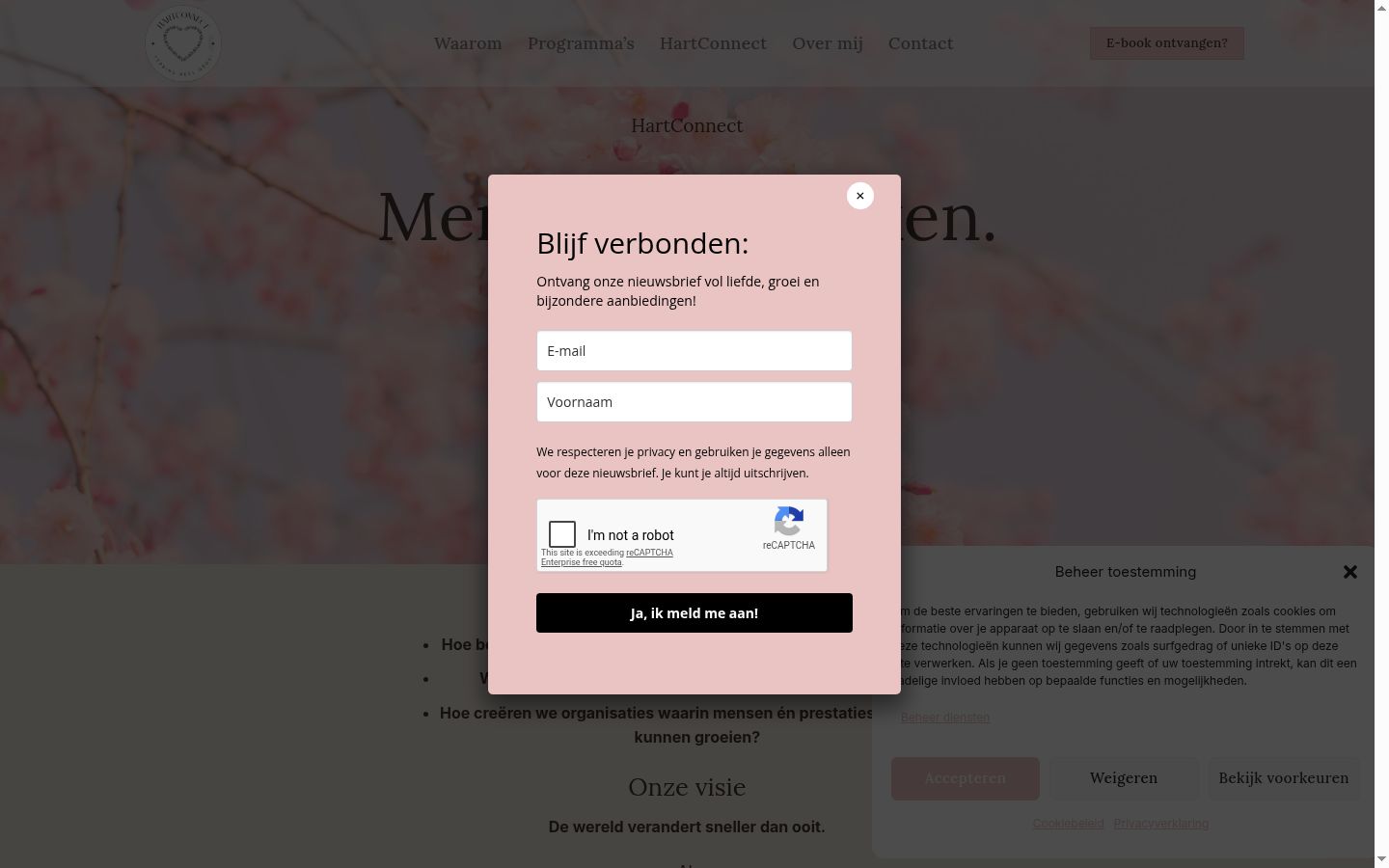 Screenshot van de toestemmingsbanner zoals getoond vóór enige interactie