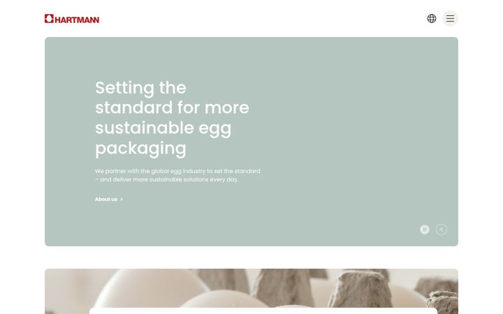 Screenshot of hartmann-packaging.hr