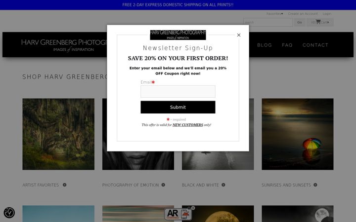 Screenshot of harvgreenberg.com