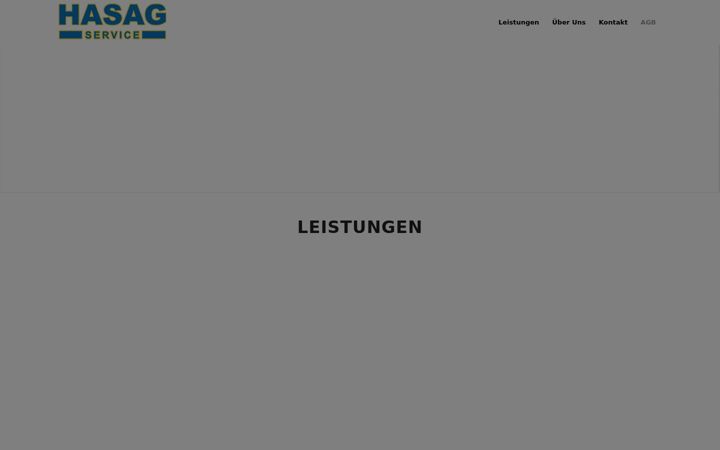 Screenshot of hasag.com