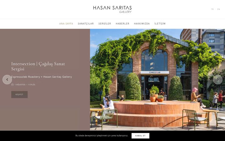 Screenshot of hasansaritasgallery.com