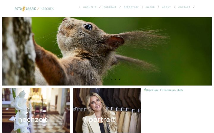 Screenshot of haschek.eu