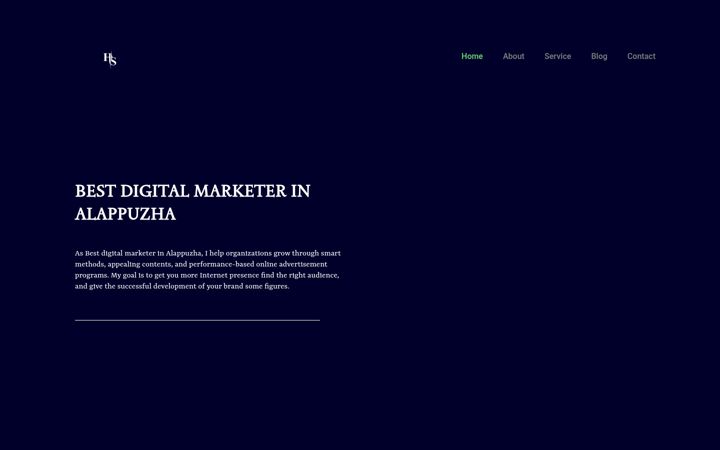 Screenshot of haseenashirin.com