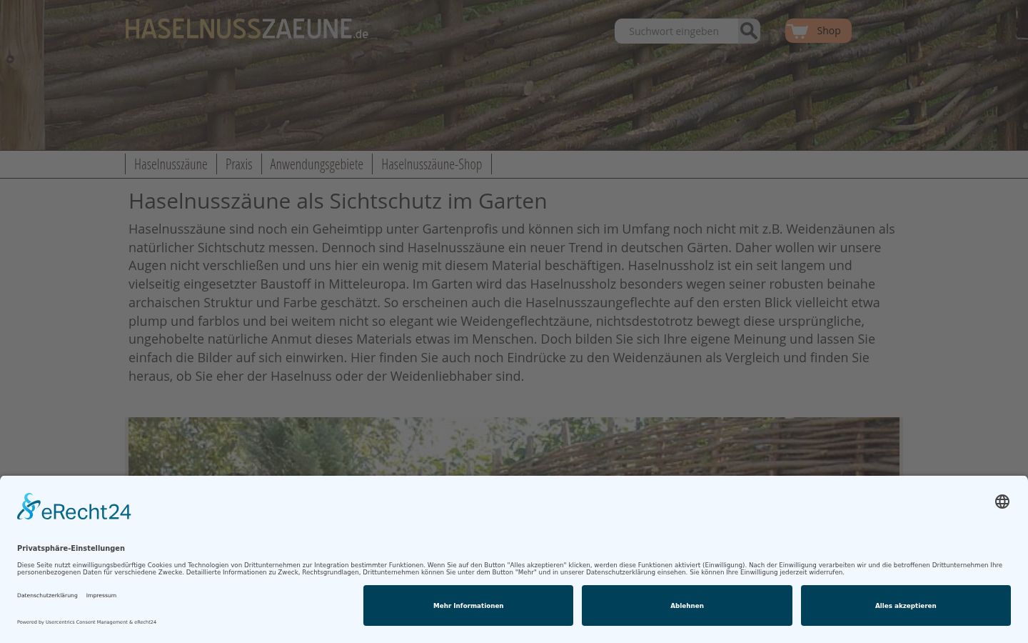 Screenshot del banner di consenso mostrato prima di qualsiasi interazione