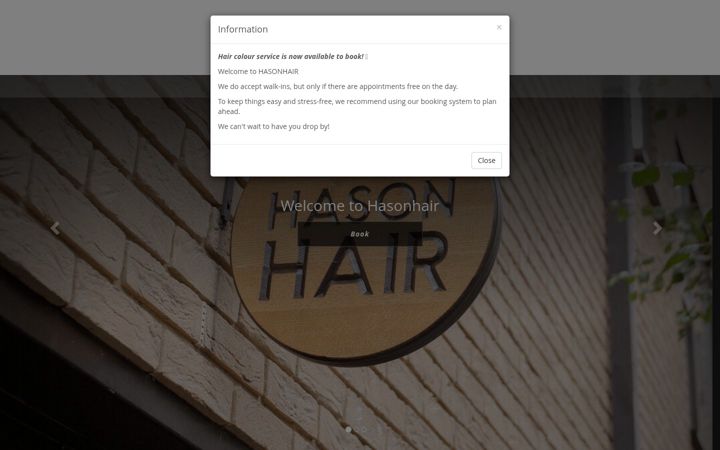 Screenshot of hasonhair.com