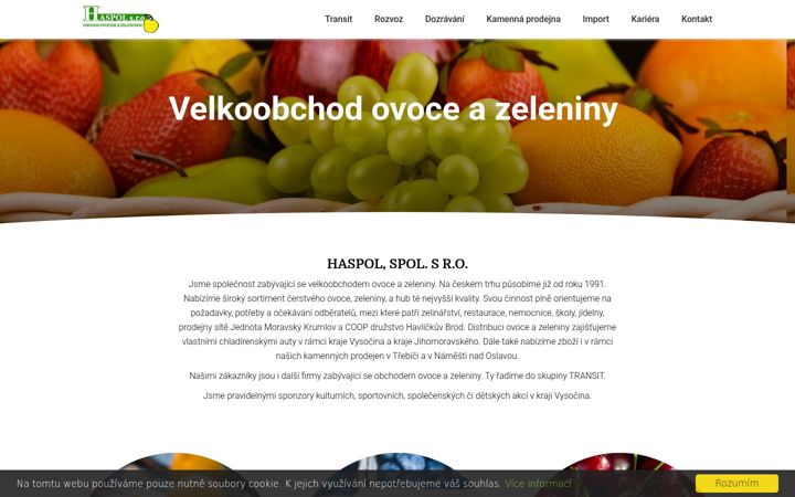 Screenshot of haspol.cz