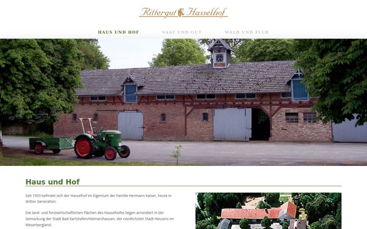 Screenshot of hasselhof.com