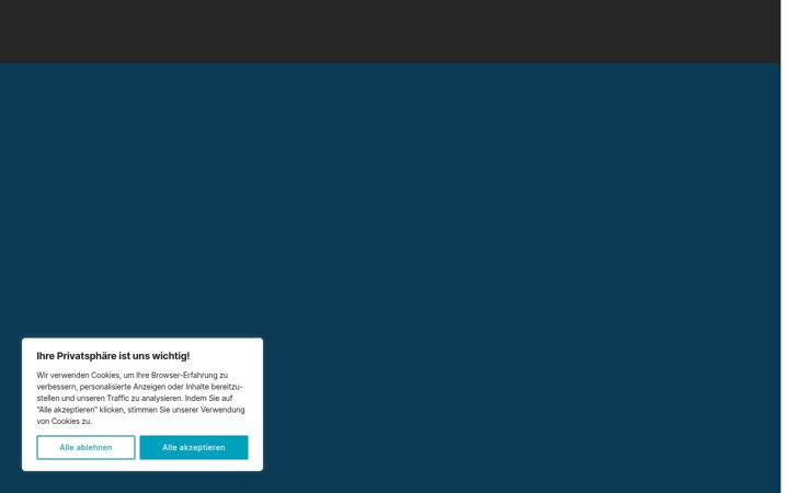 Screenshot of hassemer-consulting.de