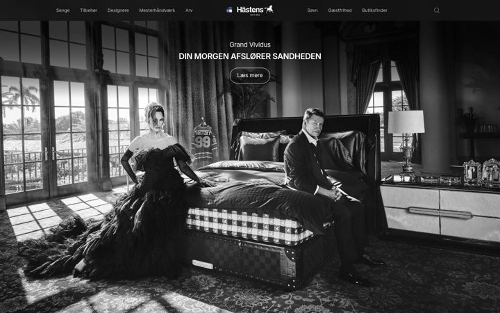 Screenshot of hastens.com