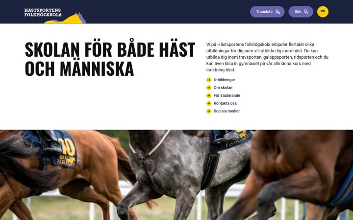 Screenshot of hastsportensfolkhogskola.se