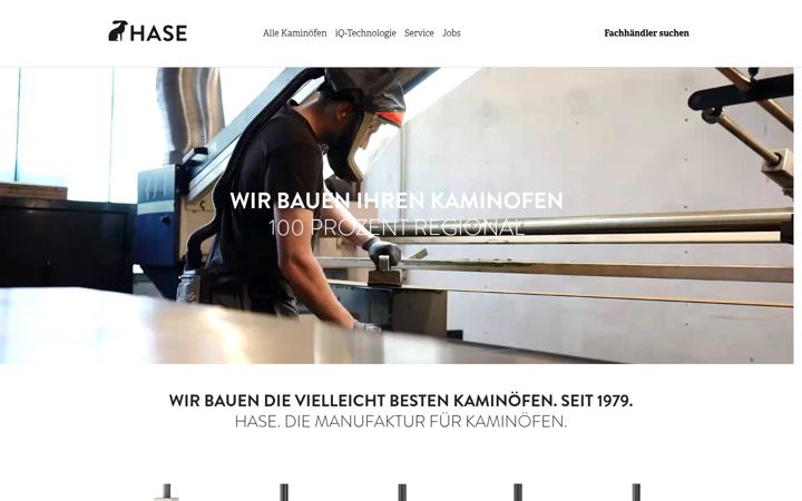 Screenshot of hasye.de