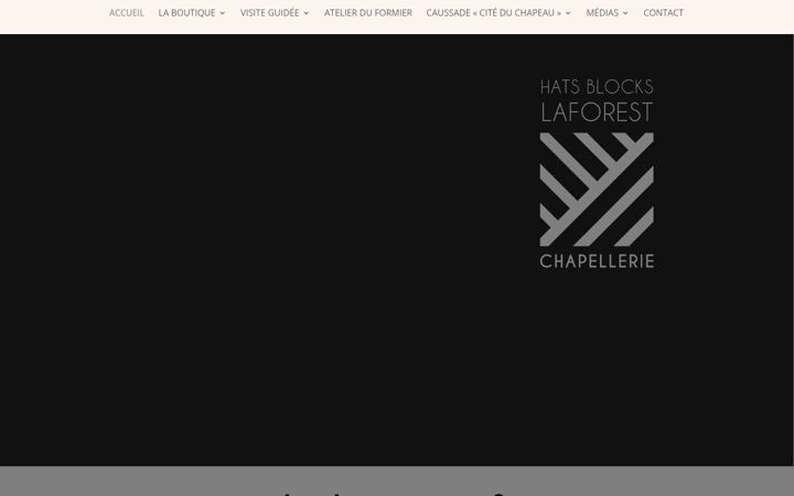 Screenshot of hatsblocks.fr