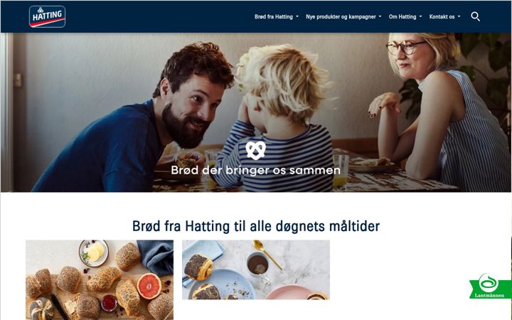 Screenshot of hatting.dk