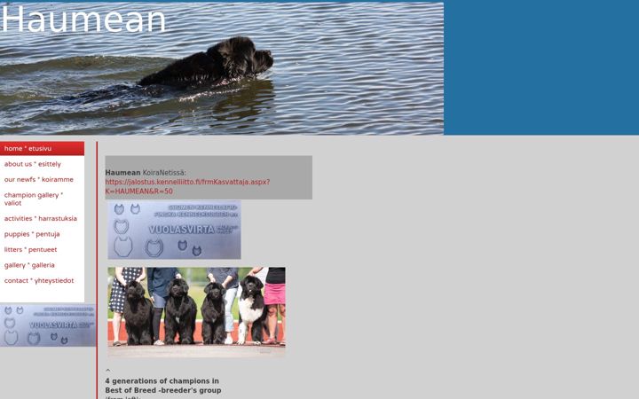 Screenshot of haumean.com