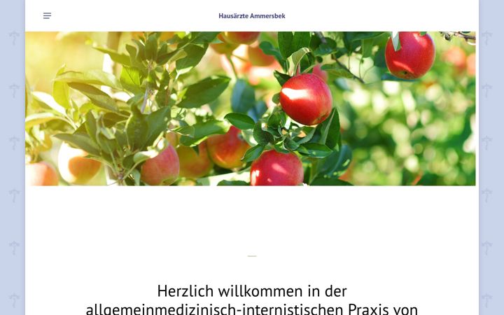 Screenshot ta' hausaerzte-ammersbek.de