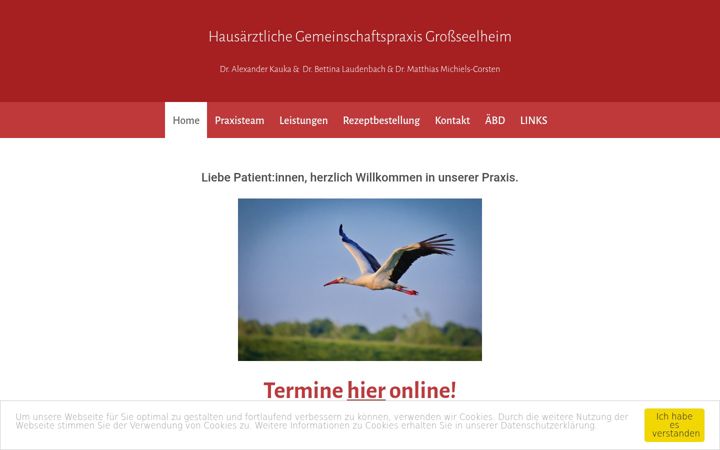 Screenshot ta' hausaerzte-grossseelheim.de