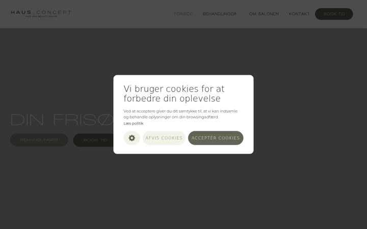 Screenshot of hausconcept.dk