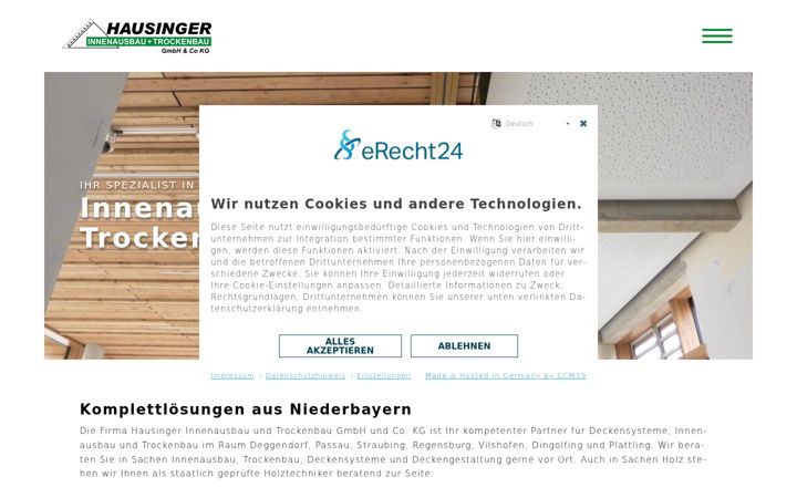 Screenshot of hausinger-trockenbau.de