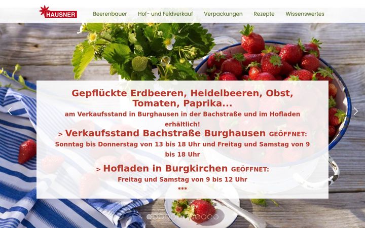 Screenshot of hausner-beeren.de