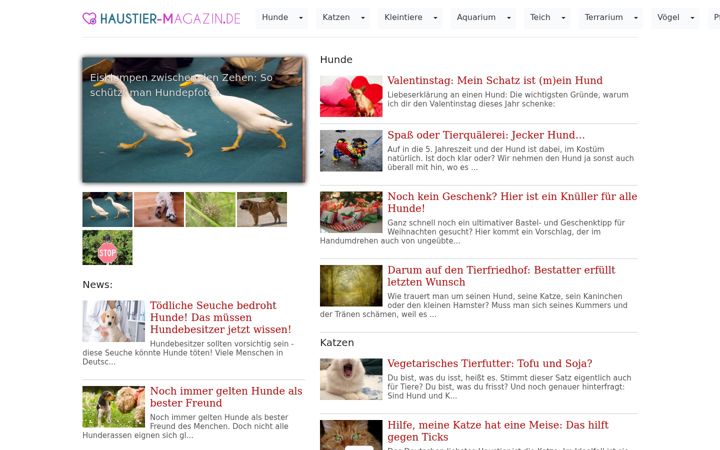 Screenshot of haustier-magazin.de
