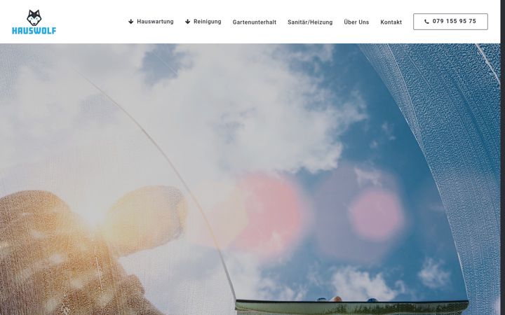 Screenshot of hauswolf.ch