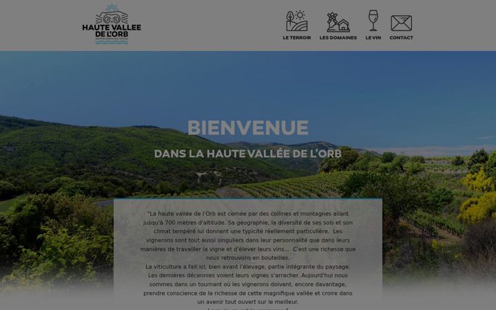 Screenshot of hautevalleedelorb.fr