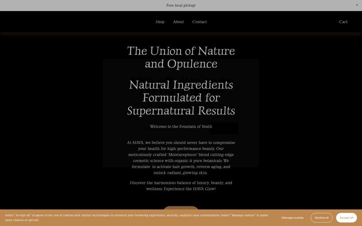 Screenshot of hava-life.com