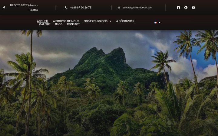 Screenshot of havaitour4x4.com