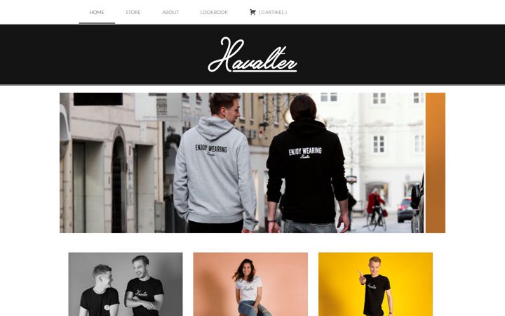 Screenshot of havalter.com