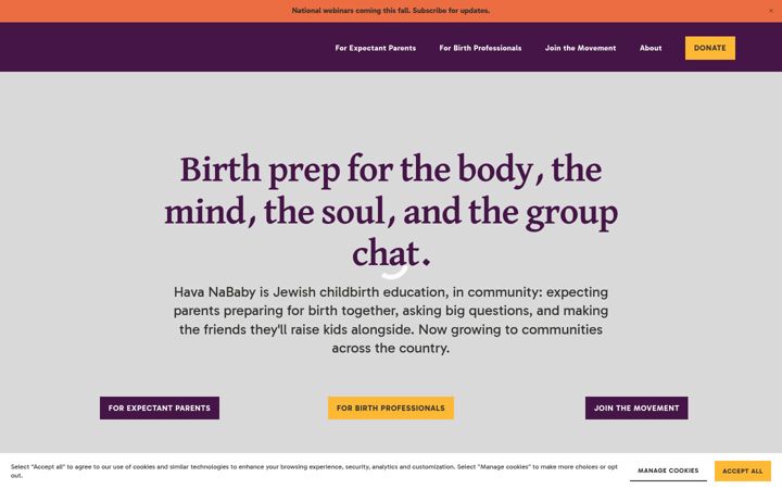 Screenshot of havanababy.org