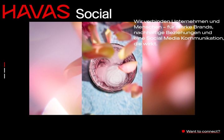 Screenshot of havassocial.de