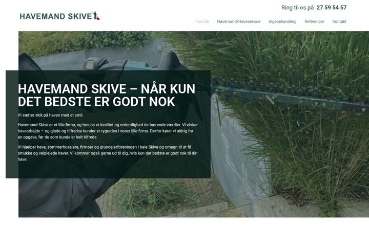 Képernyőkép: havemandskive.dk